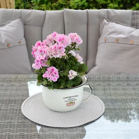 度假居 Baerenfalle